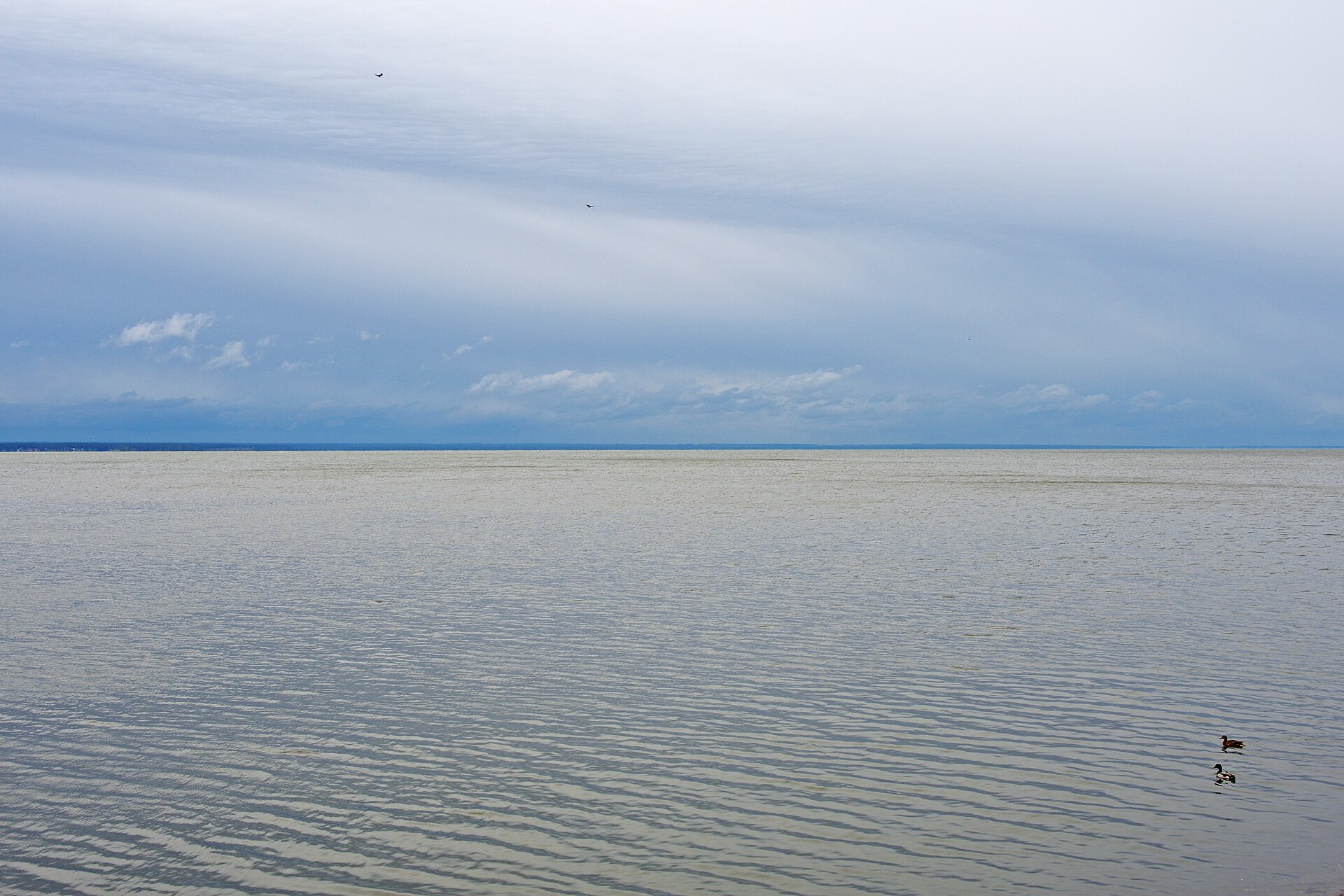 Обское водохранилище («Обское море»)